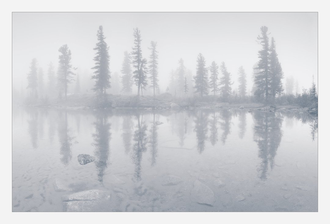 ергаки, озеро, деревья, кедры, отражение, туман, Александр Ермолицкий