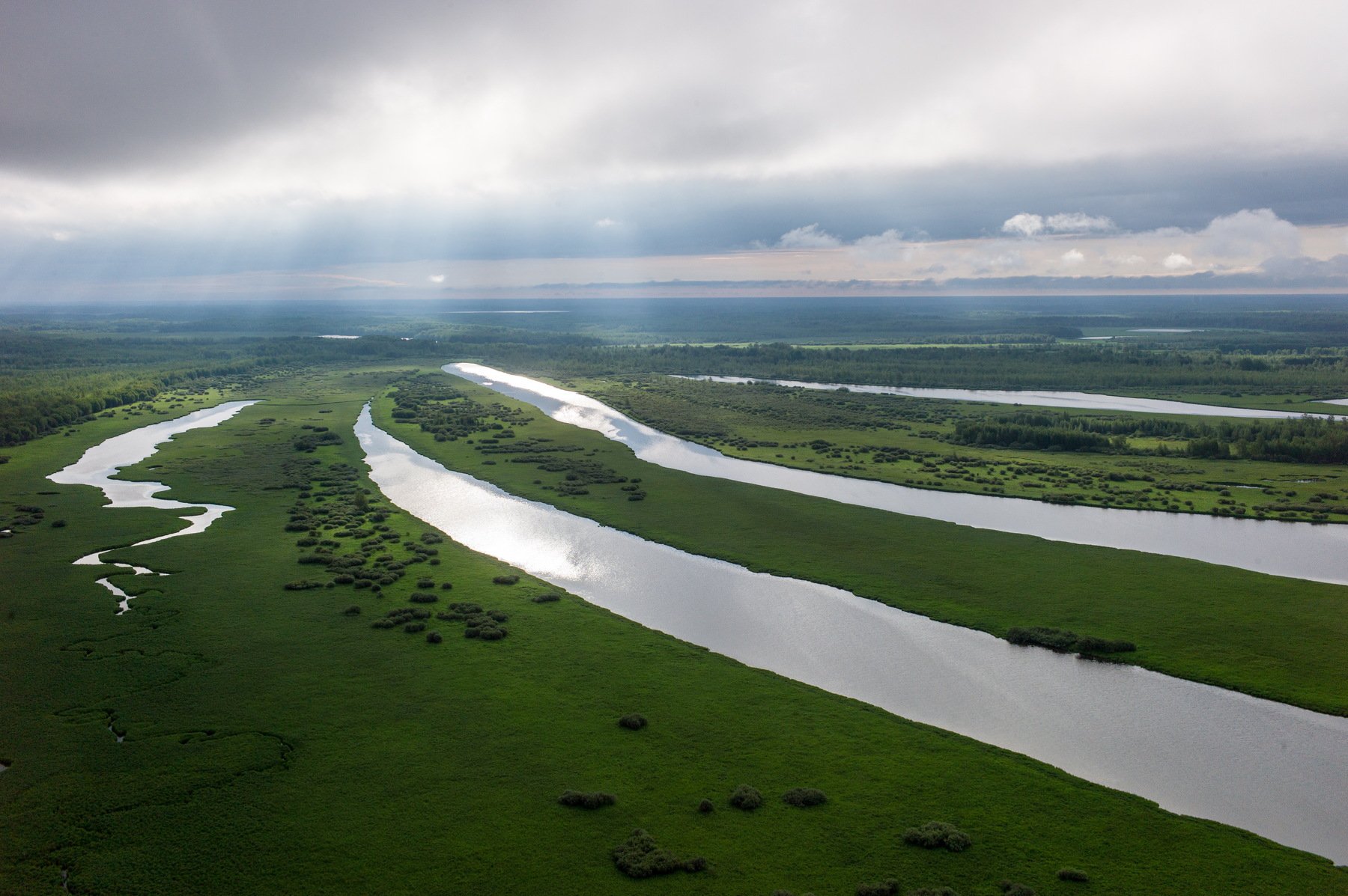 Крупнейшей рекой западной сибири является. Васюганские болота Томская область. Васюганские болота, Сибирь. Томск Васюганское болото. Васюганское болото заповедник.
