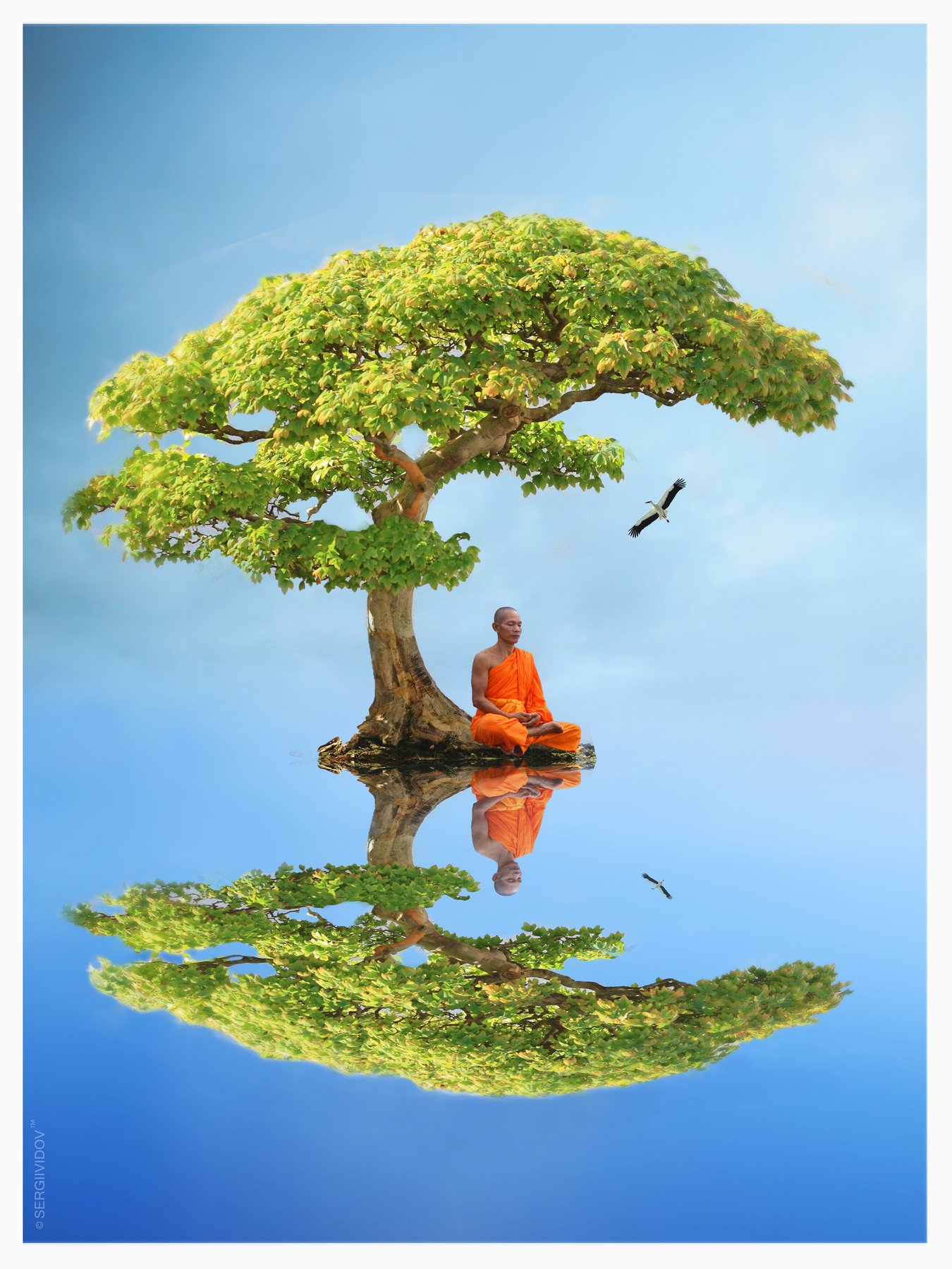 монах, медитация, дерево, вода, аист, небо, Sergii Vidov