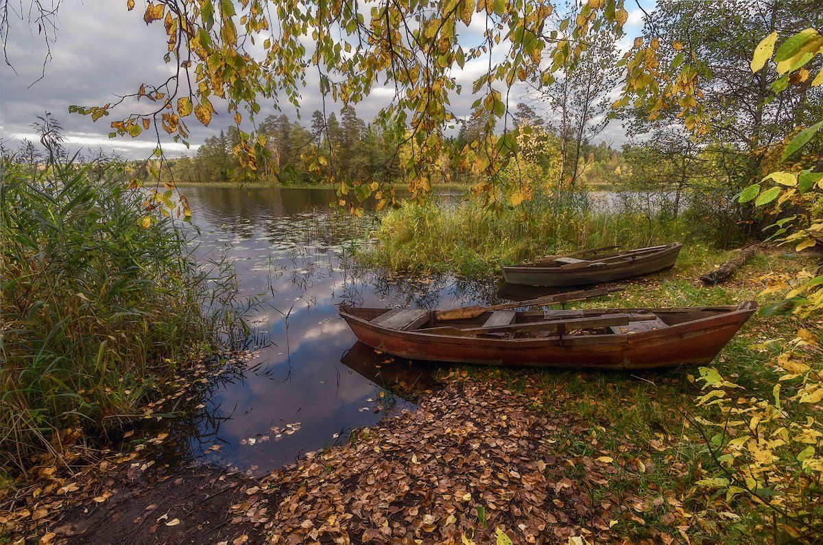 осень озеро лодка желтый листья камыш лес, Марина Мурашова