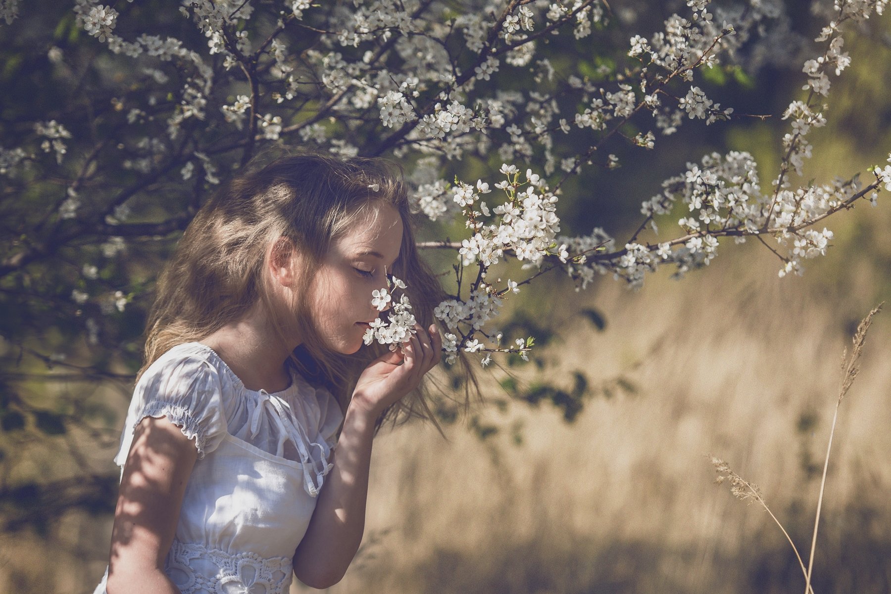 girl, portrailt, children, flowers, spring, sun, Anna Ścigaj