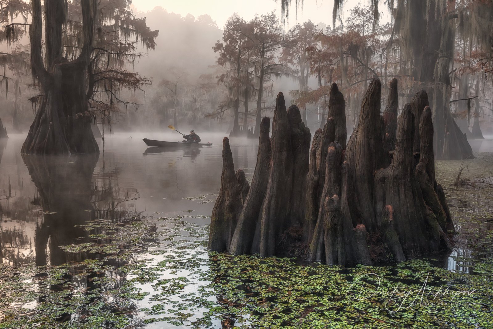 Жуткая страна. Болота Манчак в Луизиане. Призраки болота Манчак. Болота Манчак болота призраков. Гиблые топи Манчак.