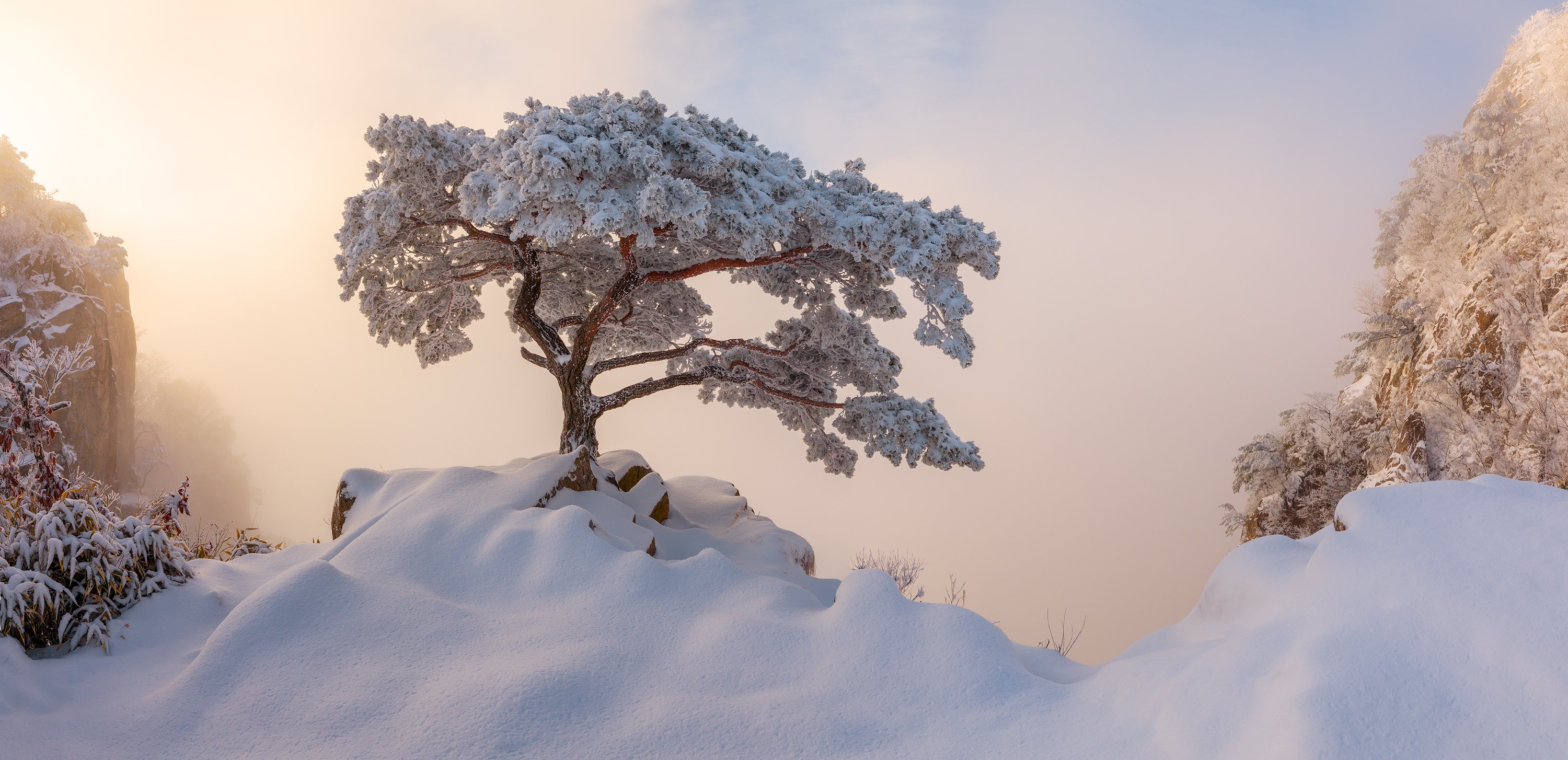 korea, Nathaniel Merz