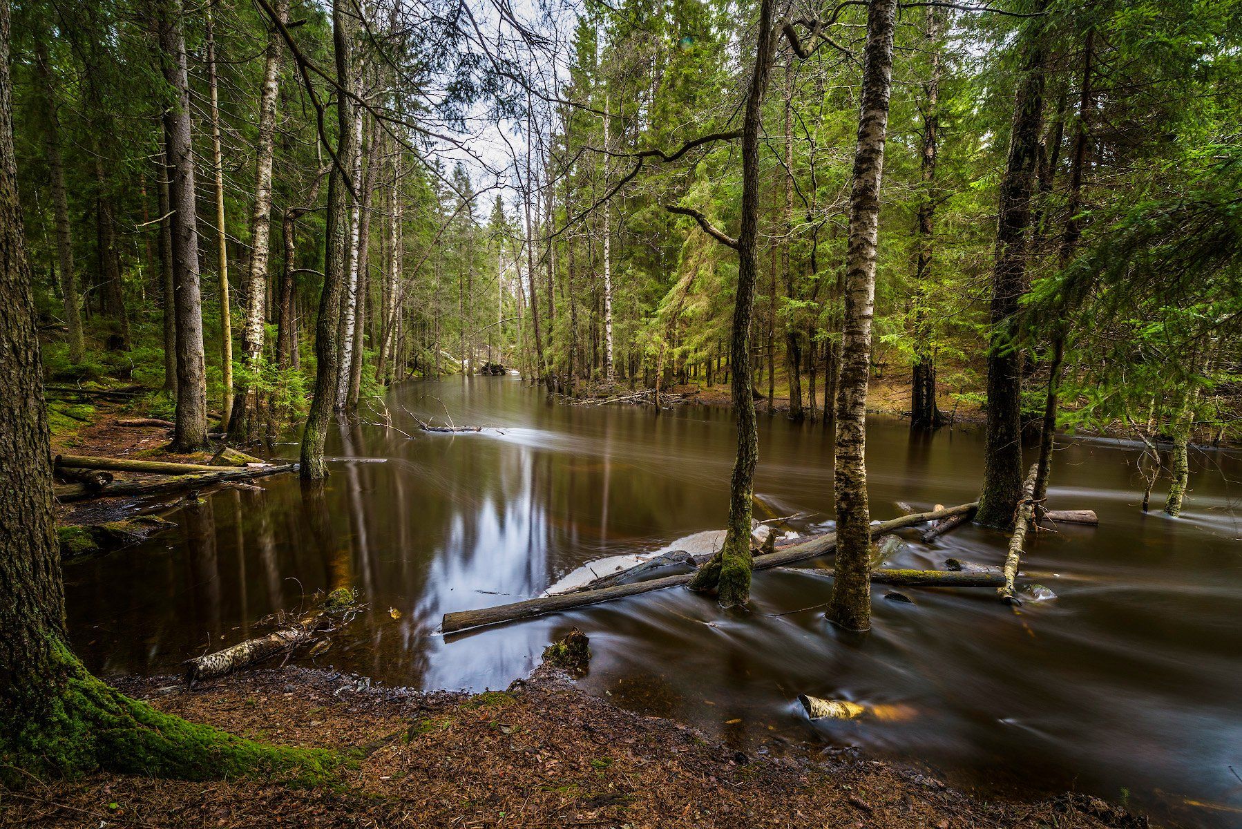 лес, река, весна, вода, nd,, Владислав Храмцов
