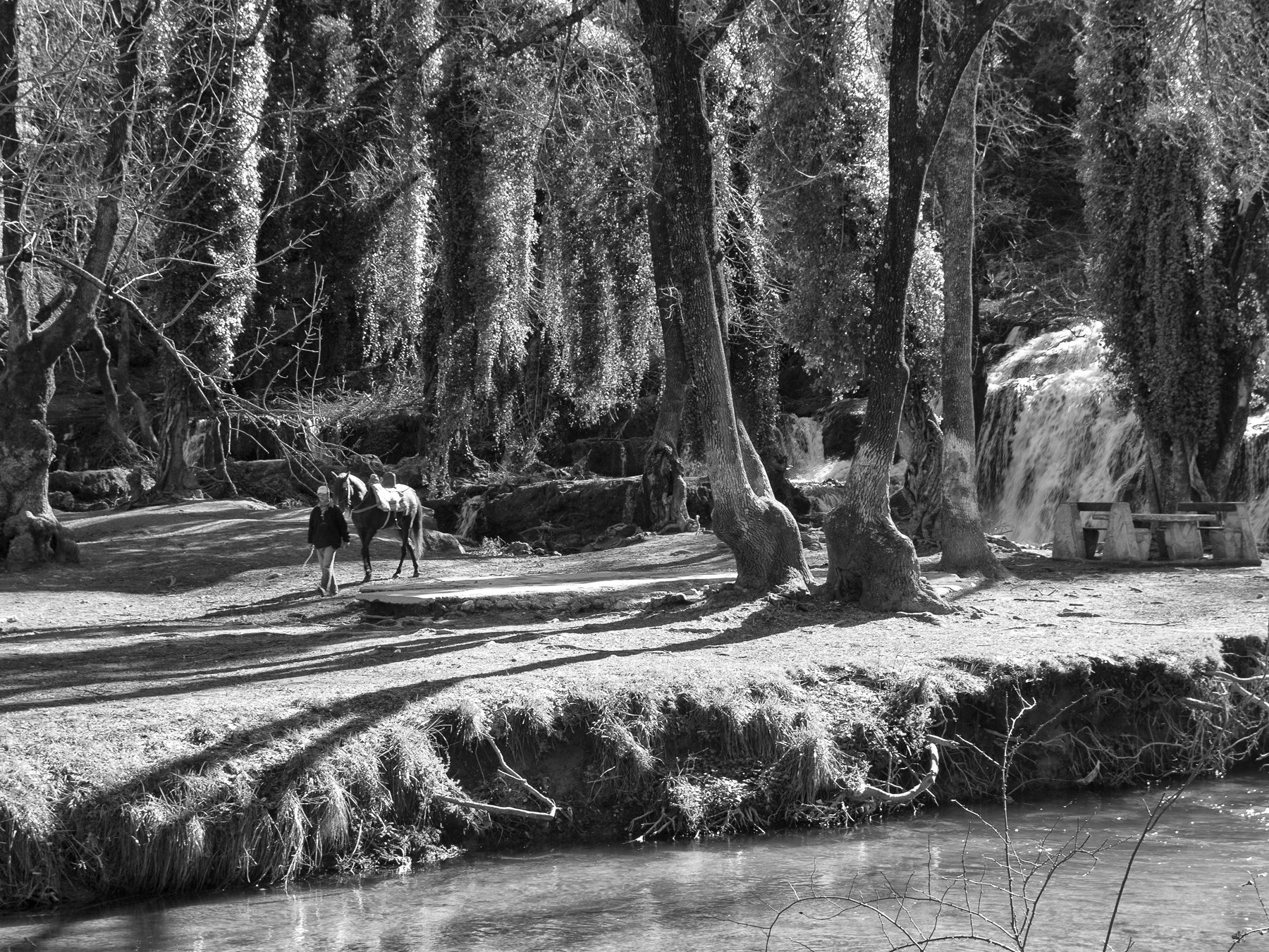 Morocco, Fez, Landscape, Morning, Black and white, Monochrome, Elena Beregatnova