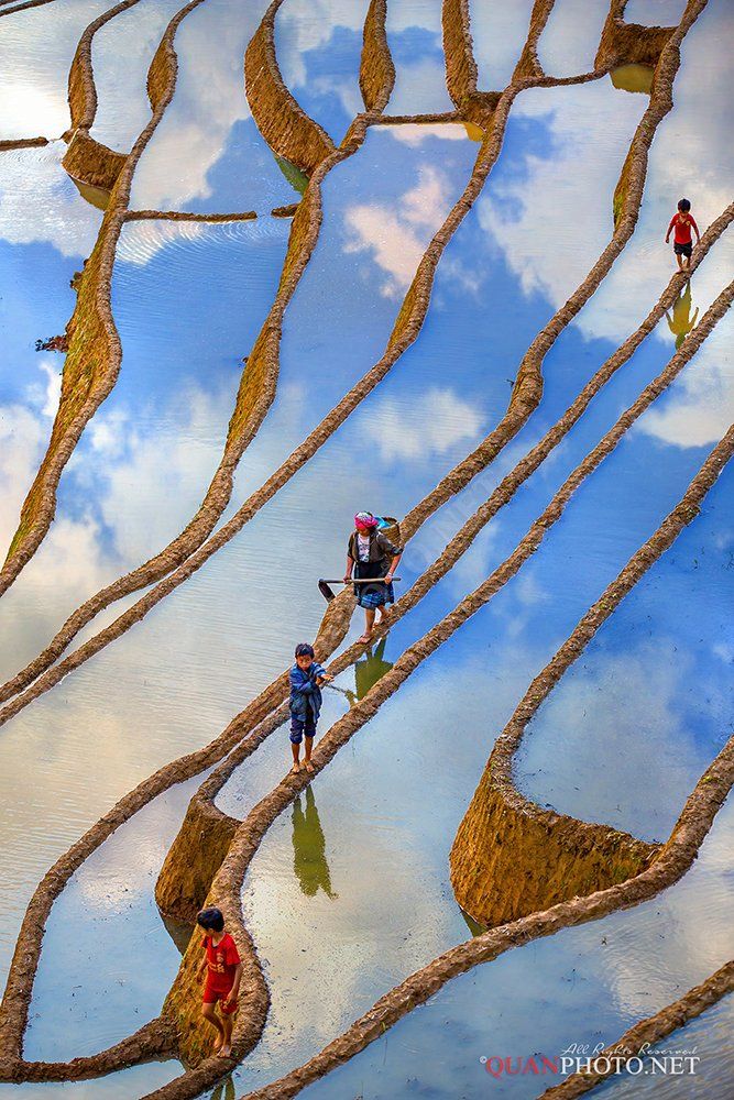 quanphoto, landscape, vertical, people, clouds, reflections, surface, farmland, agriculture, vietnam, rural, quanphoto