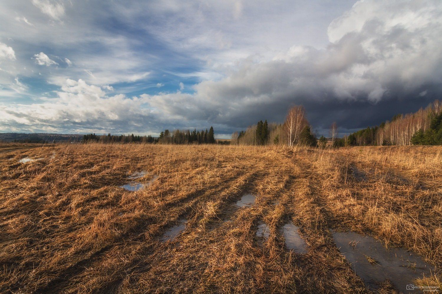 весна, поле,облако, пермский край, облака, Антон Кошетаров