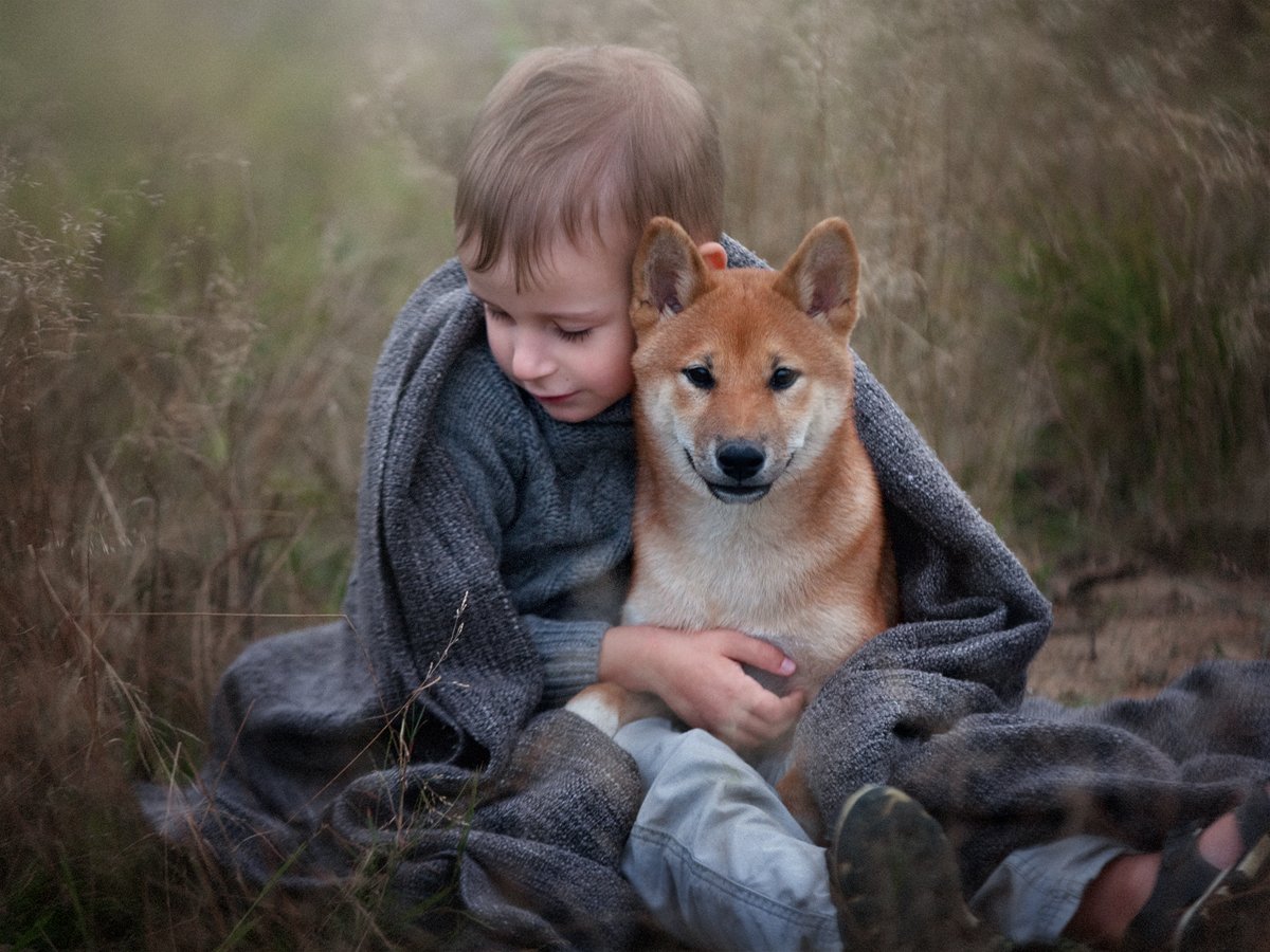 ребенок, собака, друг, мальчик, Анастасия Кушнырь