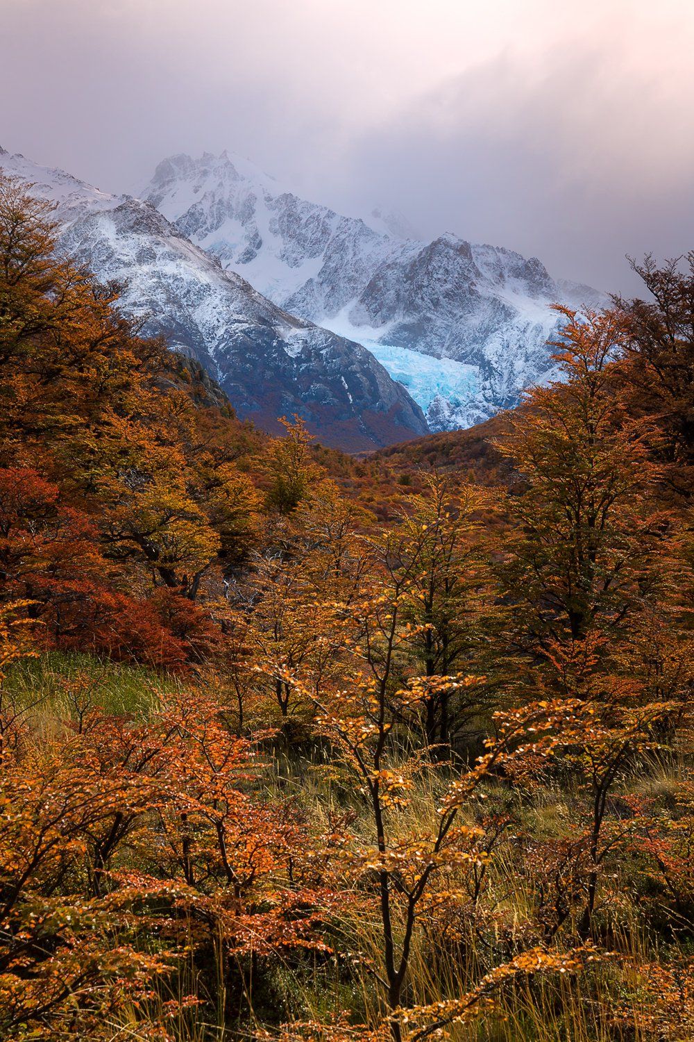 landscape mountain scenery glaciar autumn trees, Ольга Тарасюк