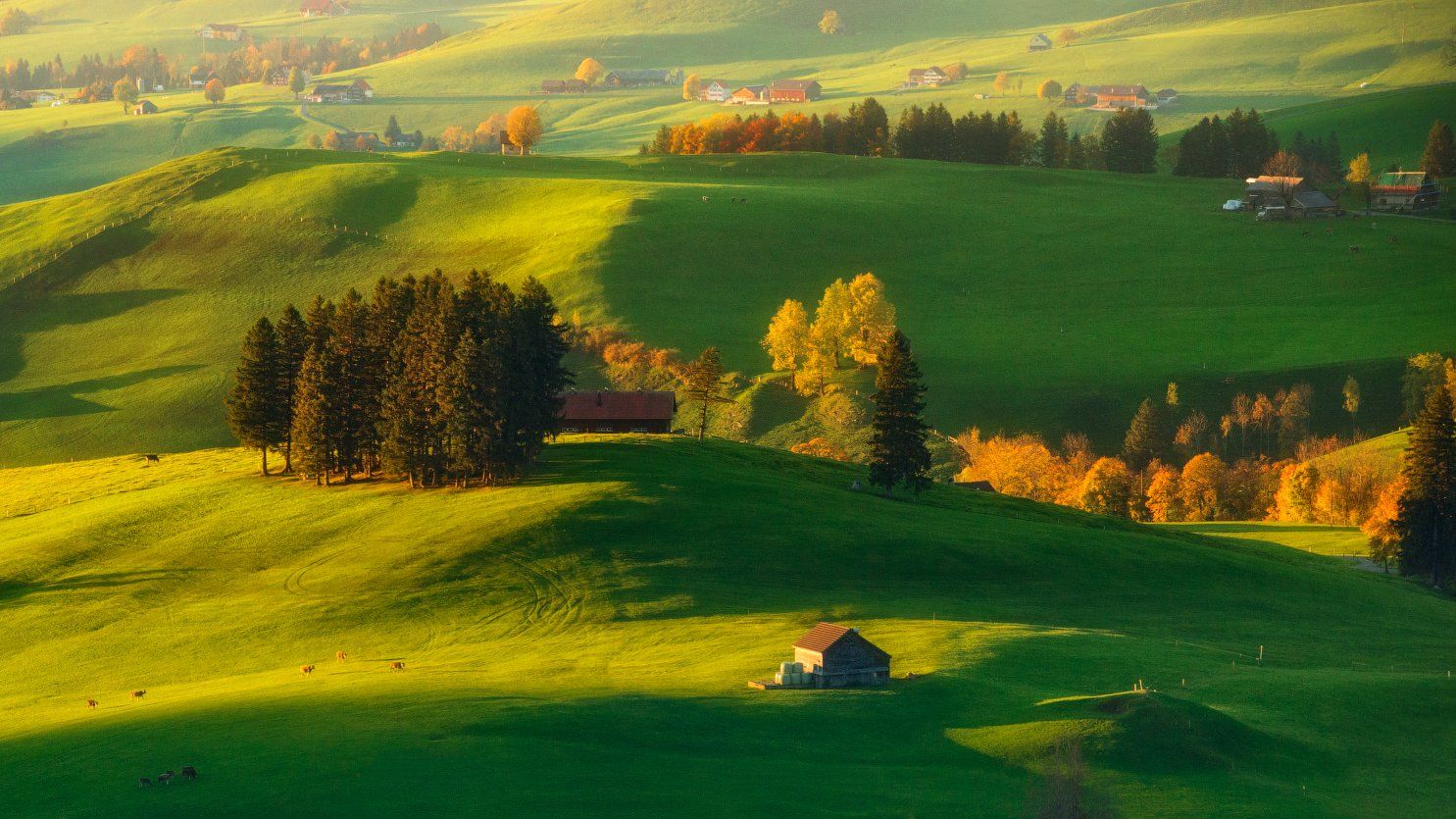 Швейцария холмы поля осень, Cтанислав Малых
