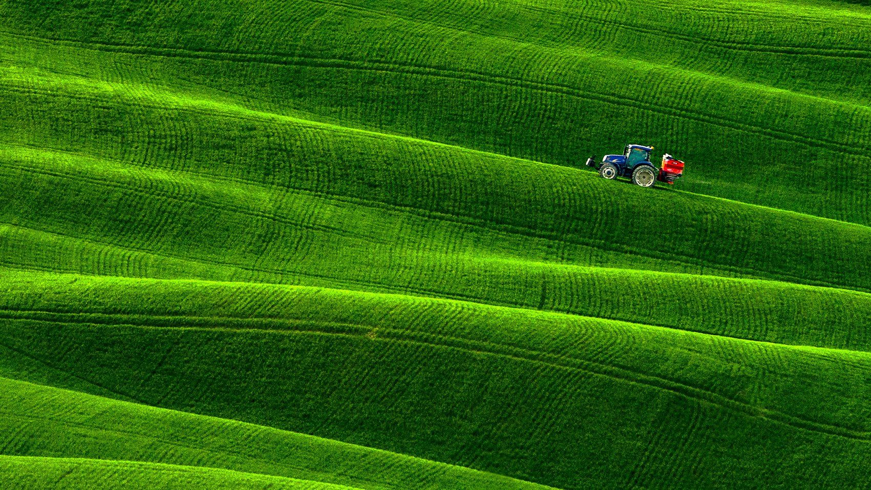 tuscany, тоскана, италия, italy, valdorcia, зеленые поля тосканы, asciano, весенняя тоскана, пейзажи тосканы, путешествие тоскана, Татьяна Ефименко