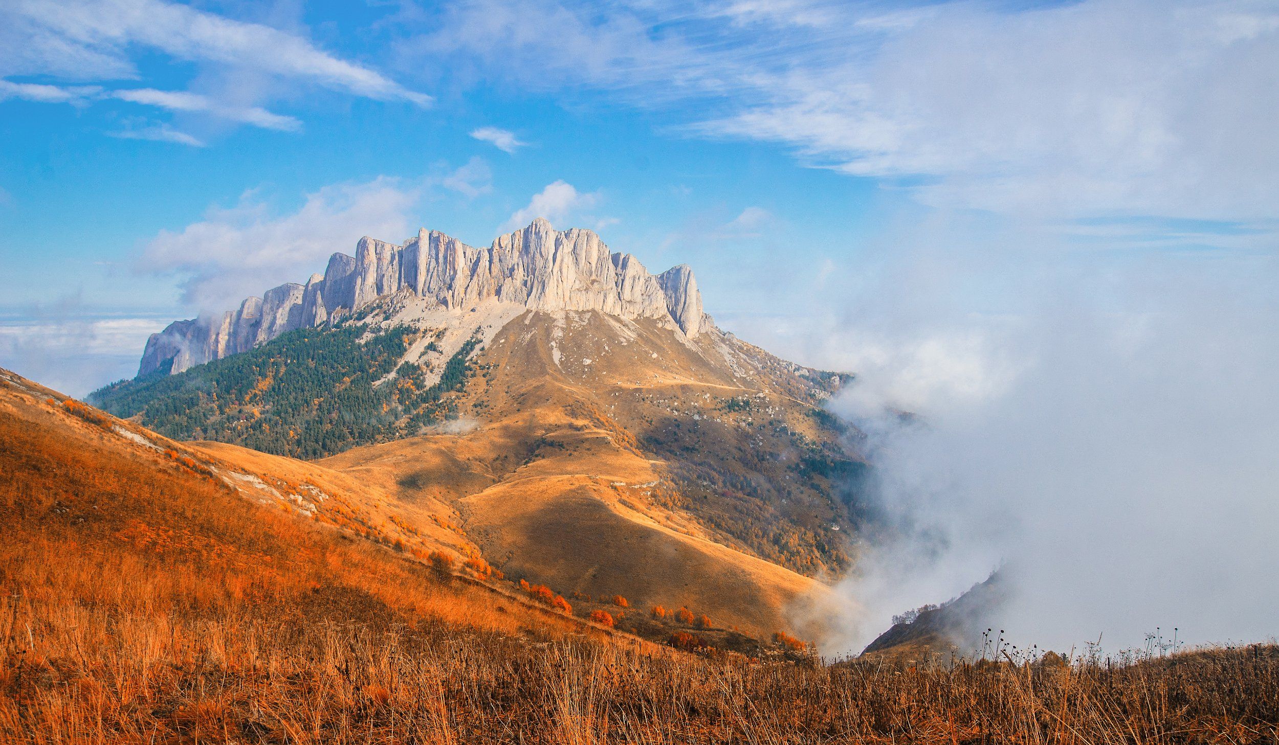 горы, туман, осень, цвета, nikon, d7000, небо, трава, Сергей Лукашенко