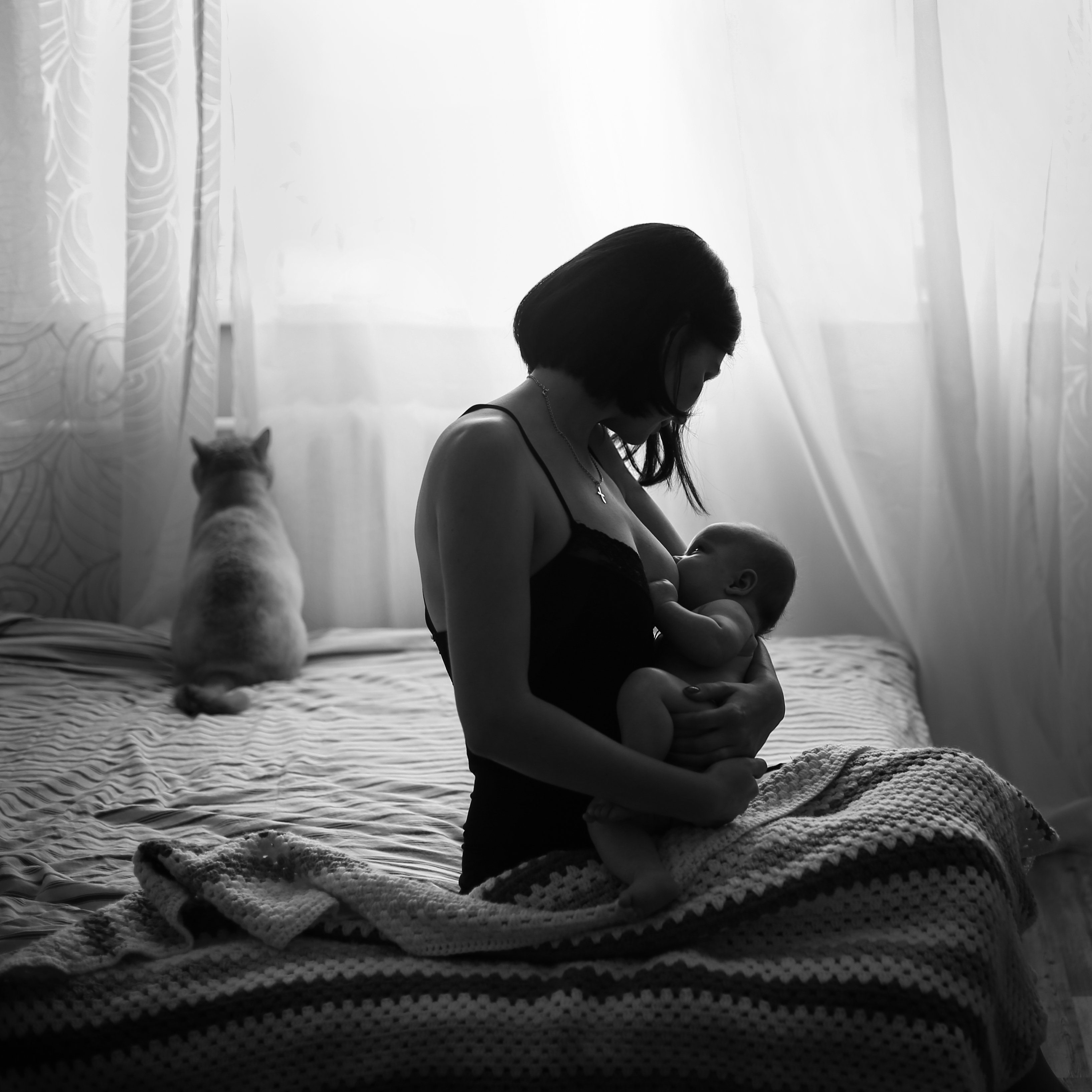 материнство мама новорожденный кормлениегрудью малышка кот, Высоцкая Полина