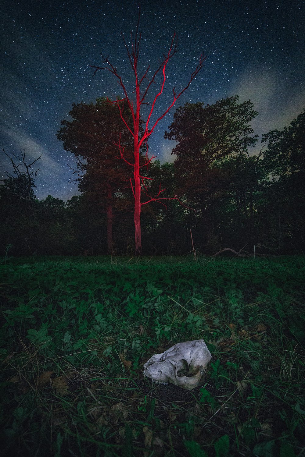 ночь, звезды, samyang, Артемий Тузов