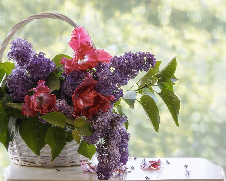 натюрморт, весна, окно, цветы, настроение, сирень, розовые тюльпаны, Ирина Приходько
