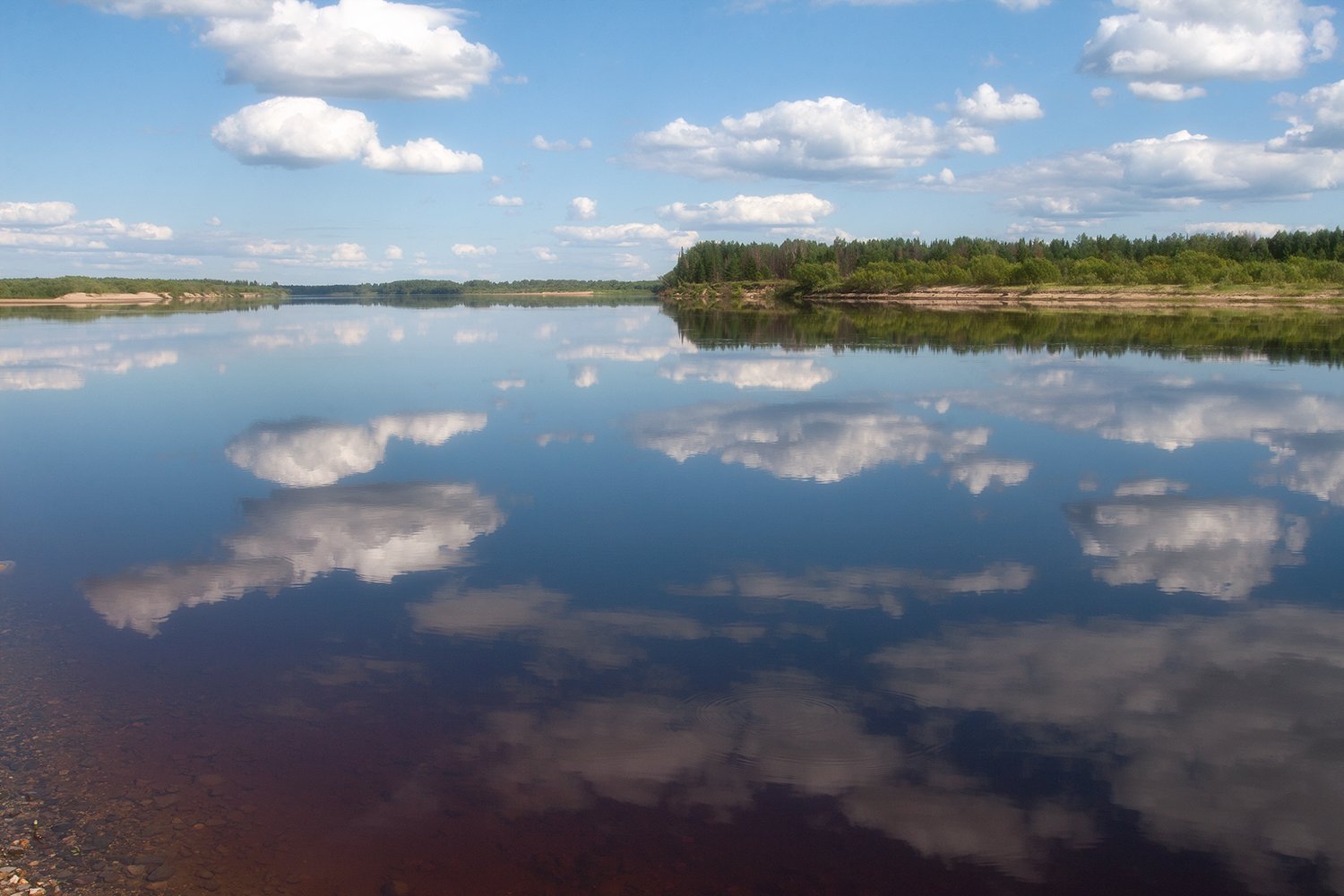 , Поташев Александр