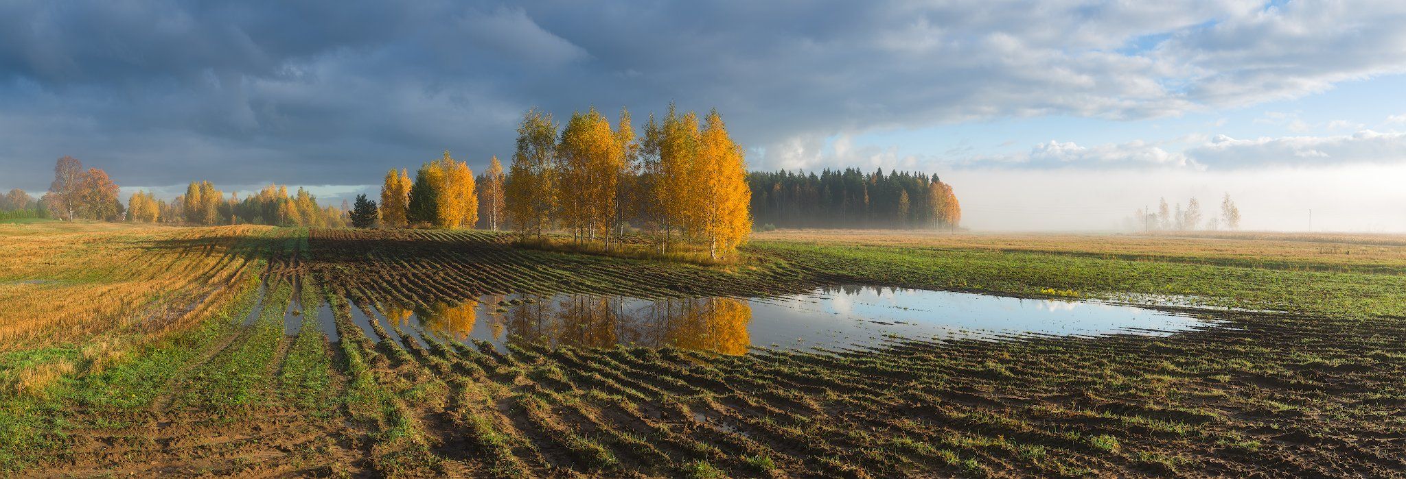 пейзаж поле осень панорама латвия, Алексей Мельситов