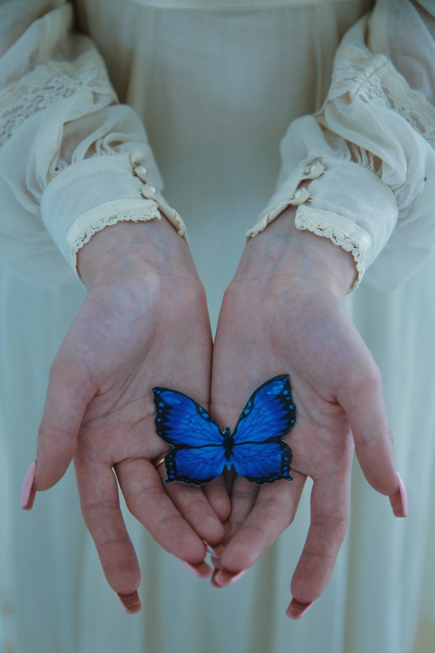 бабочка, Marie Dashkova