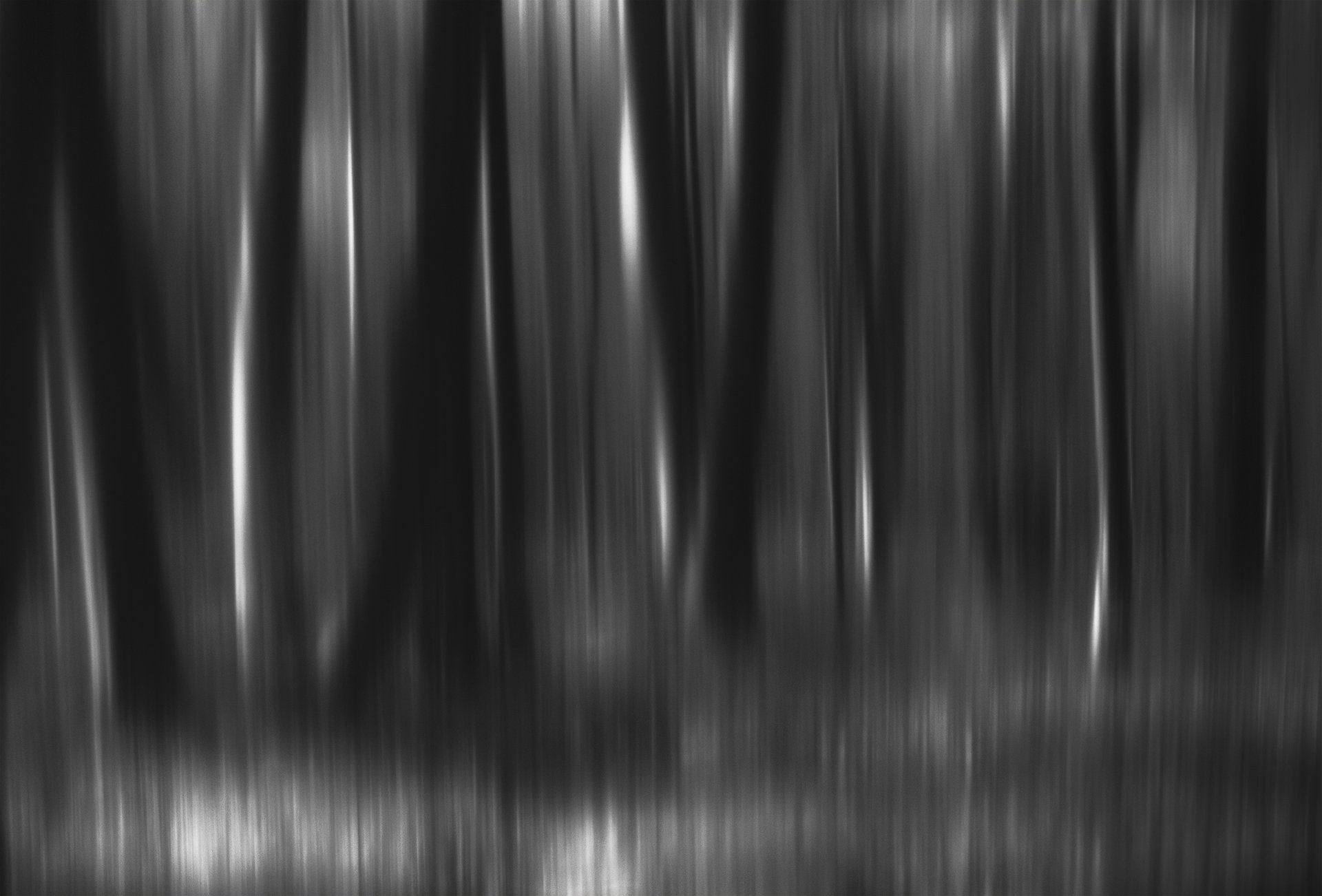 лес, арт, черно-белая фотография, чб, Olga  Wolkova