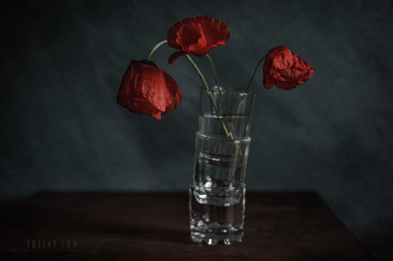 мак, красный цветок, маки, весна в стакане, Владимир Тузлай