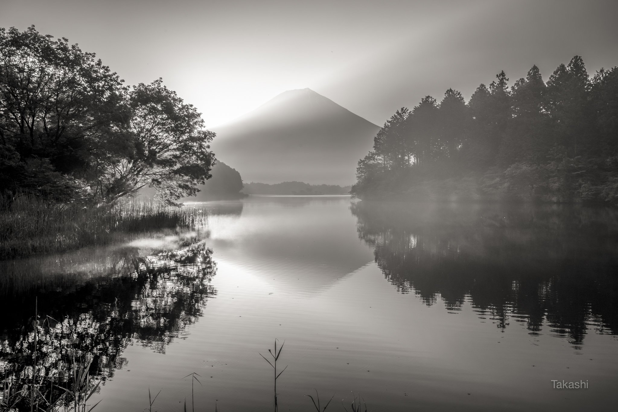 Fuji,mountain,Japan,lake,tree,sunrise,haze,gas,reflection, Takashi