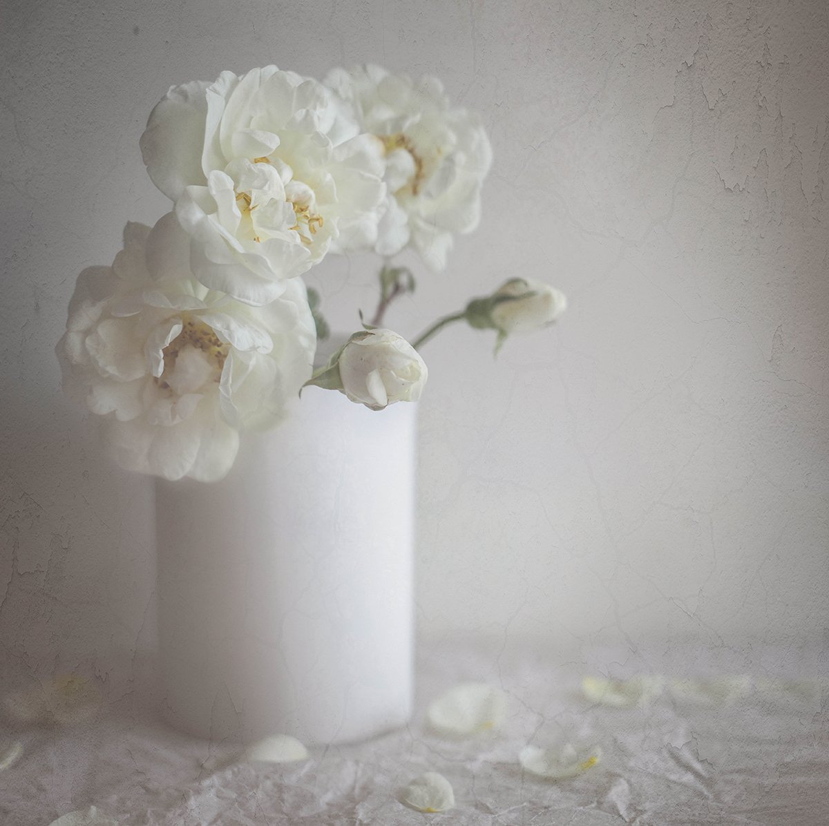 Нежные белые цветы. Нежное утро. Белая нежность. Белый цветок нежность.