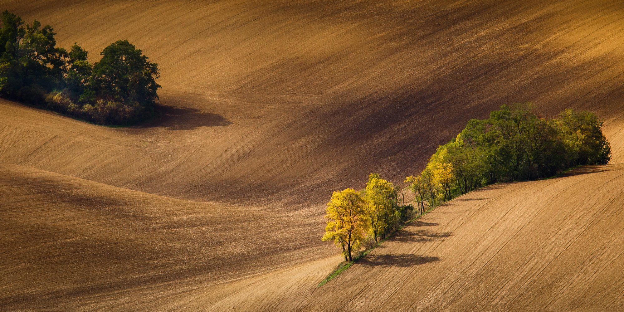 trees,landscape,hills,autumn, Marek Biegalski