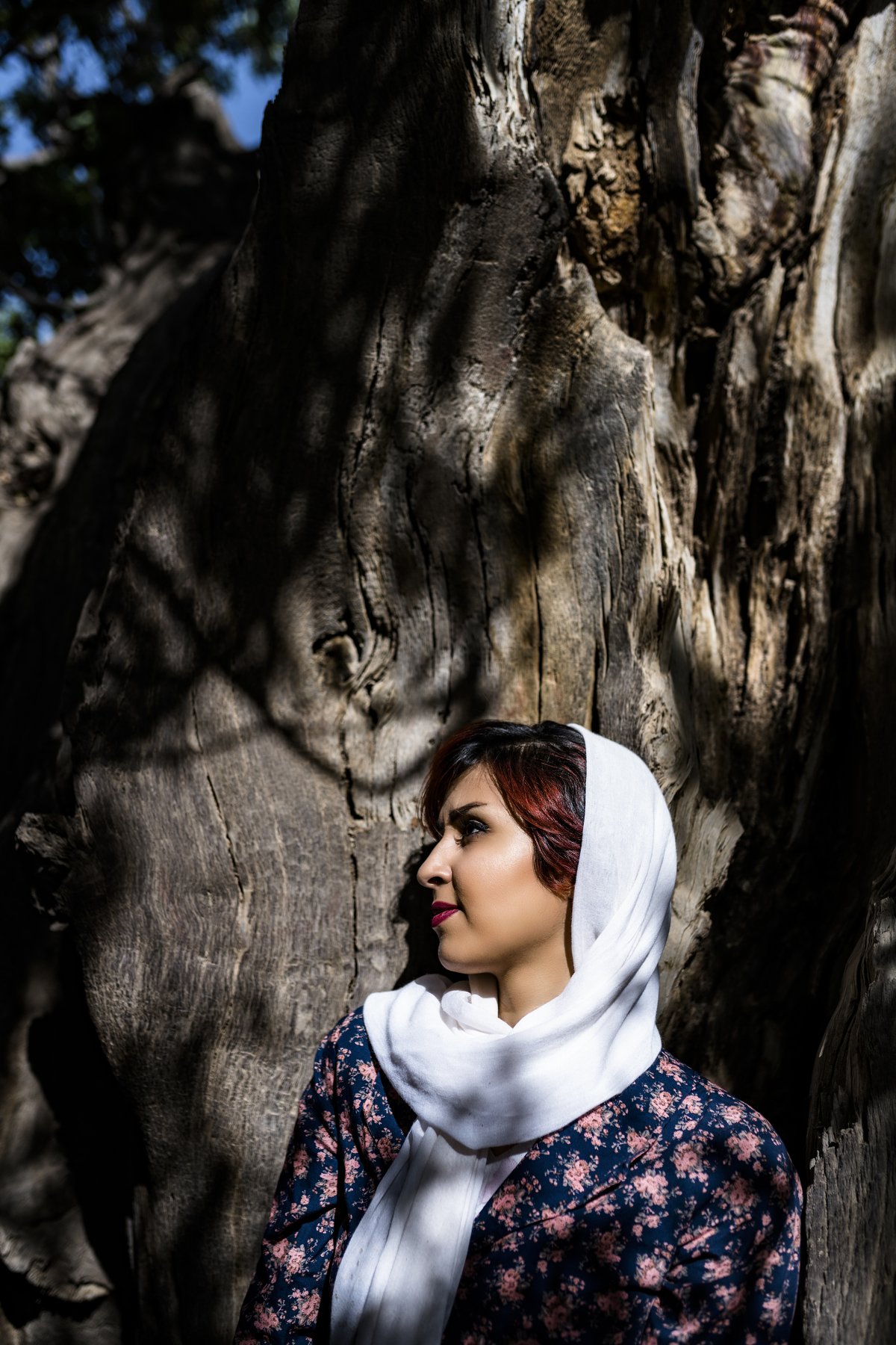 #tree #portrait , hesamadin bagheri