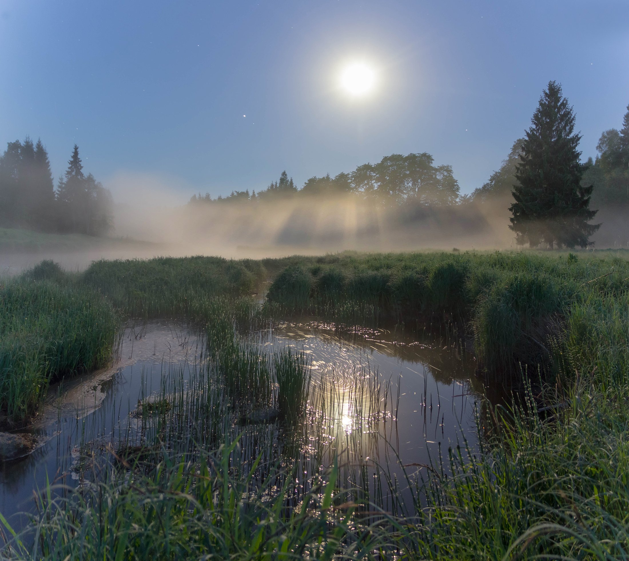 луна, туман, река, ленинградская область, Павел Ващенков
