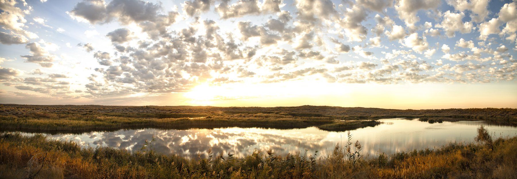 пейзаж,  природа, озеро, рассвет, облака, дерево, фотограф, алматы, фотограф алматы, landscape, dawn, the sun, nature, tree, photographer, аlmaty, amazing, awesome, Вера Иванова