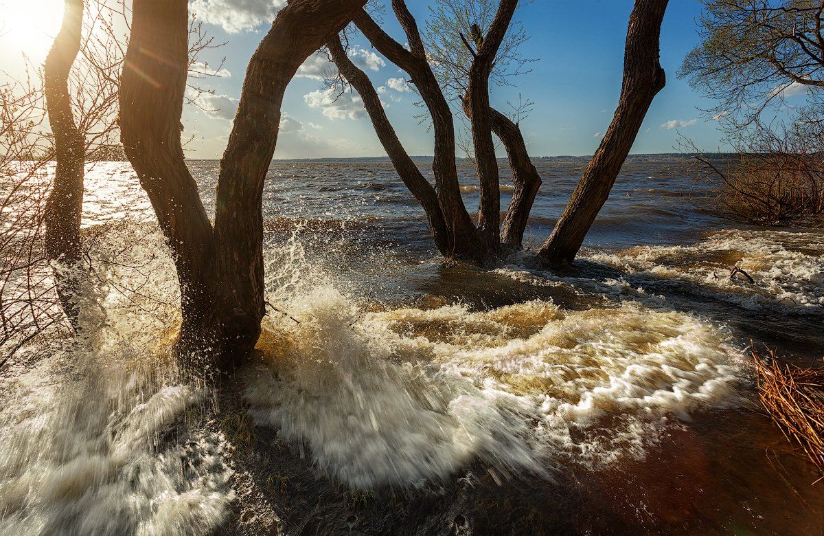 море, озеро, вода, дерево, брызги, волны, полдень, синее небо, прибой, Алексей Черепанов