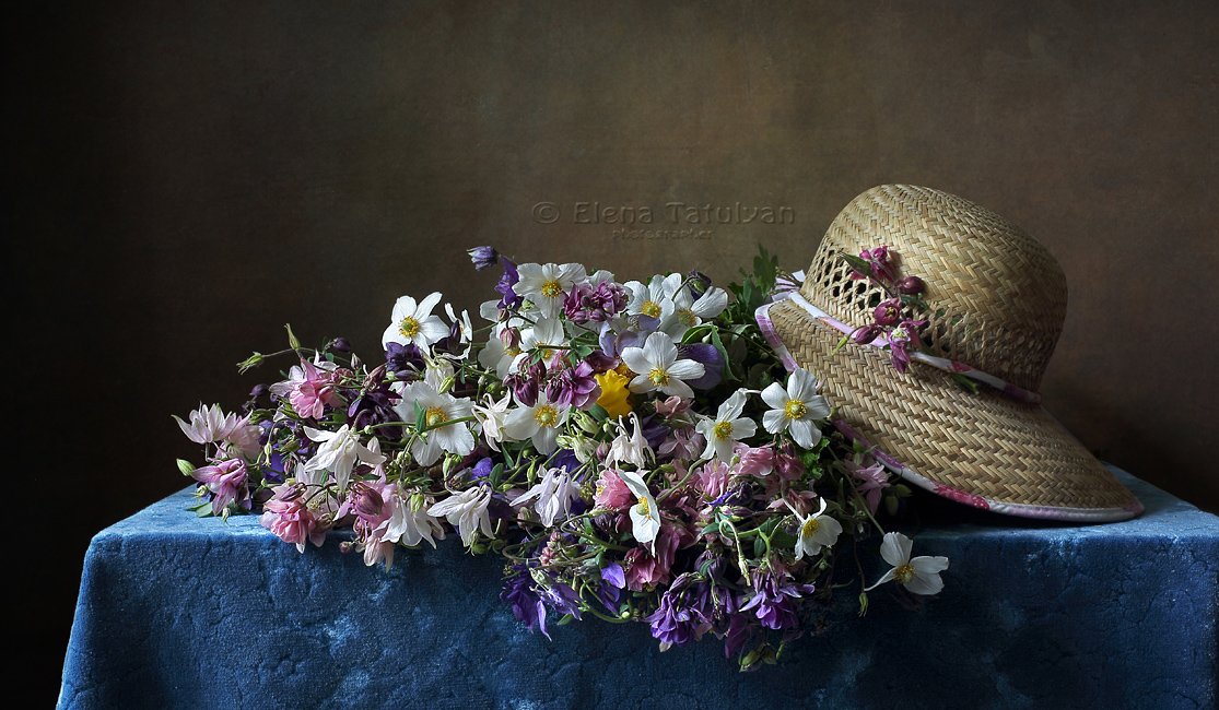 цветы, водосбор, шляпа, букет, аквилегия, анемоны, Елена Татульян