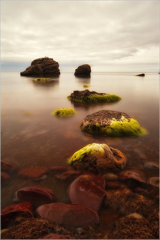 море, камни, мох, мыс меганом, Dmitry Zherebtsov