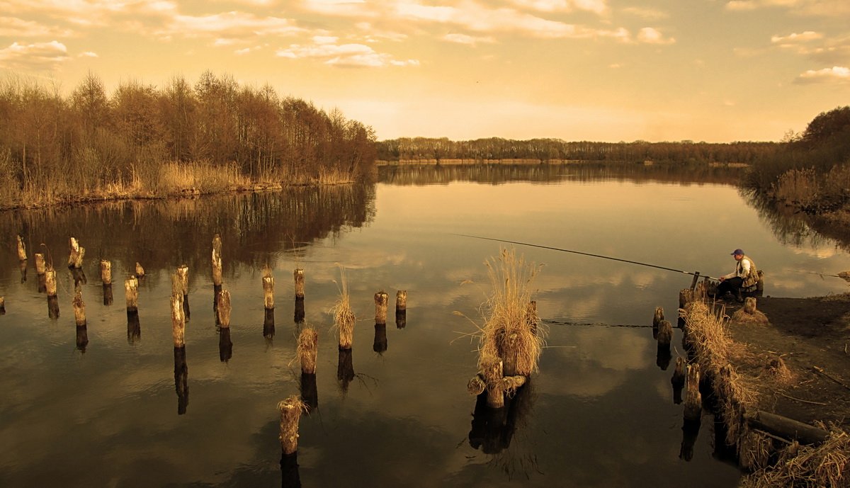 весна, природа, пейзаж, озеро, SvetLana