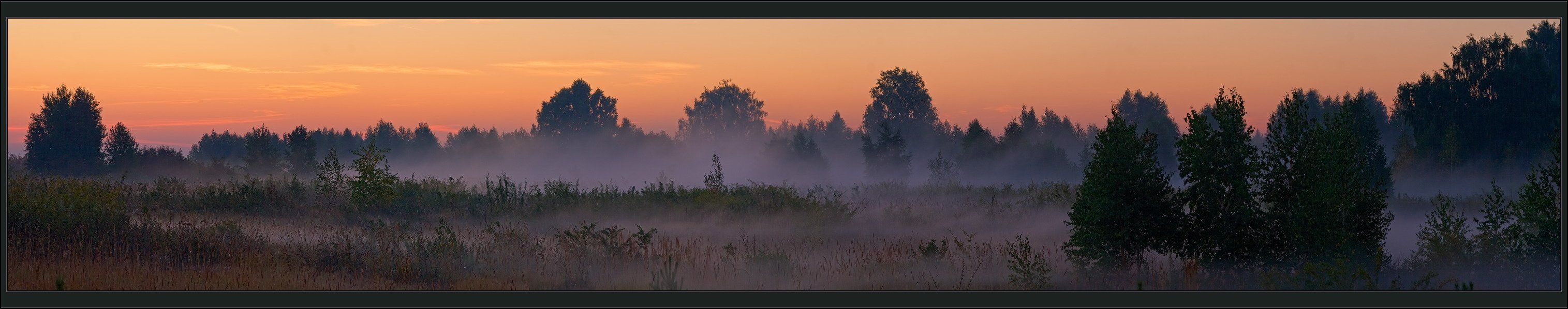 утро, туман, рассвет, панорама, Виталий из Н-ска