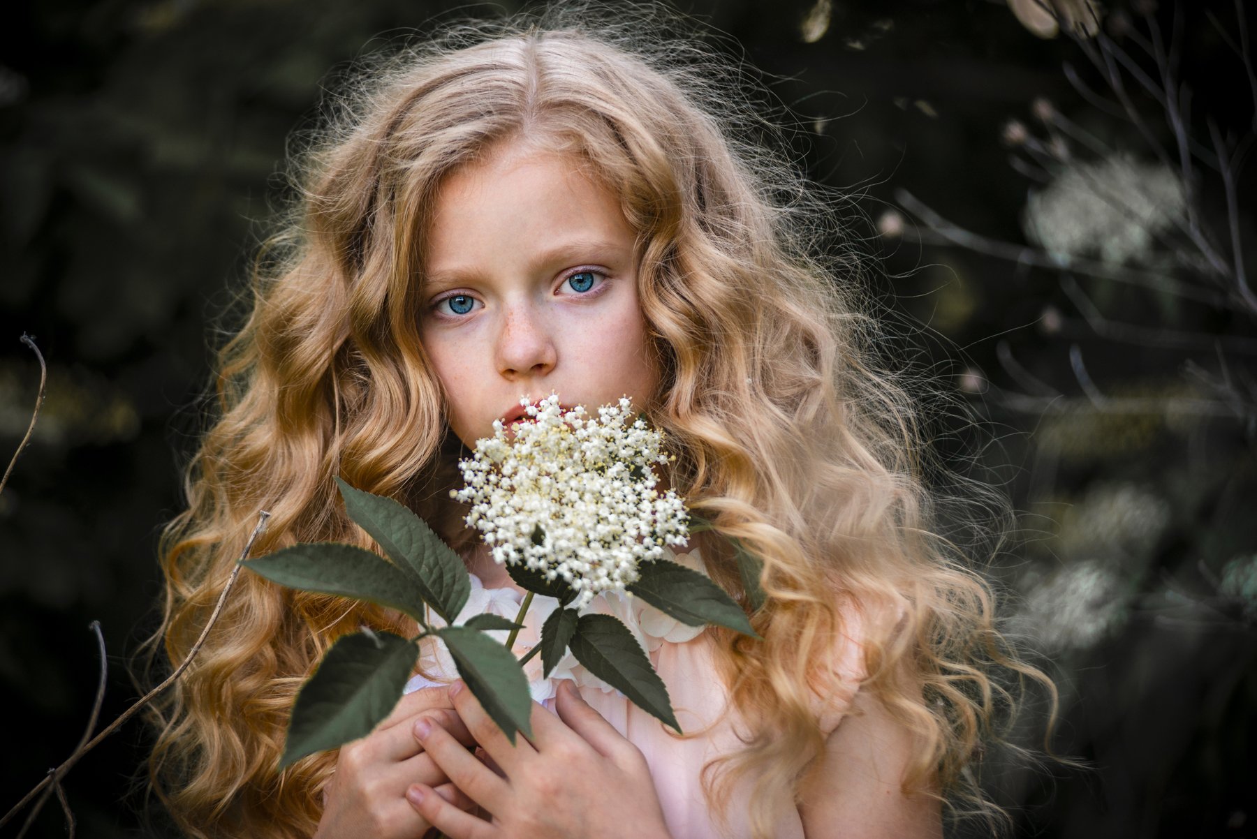 девушка взгляд глаза волосы пальцы прическа цветок флора зелень лето, Игорь Сидорук