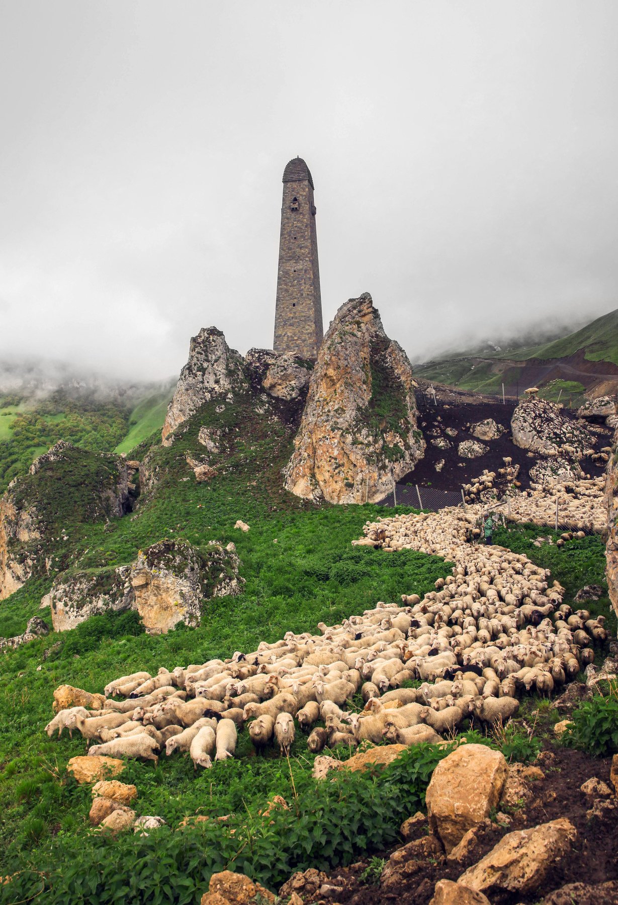 горы,овцы,кавказ,башня, Marat Magov
