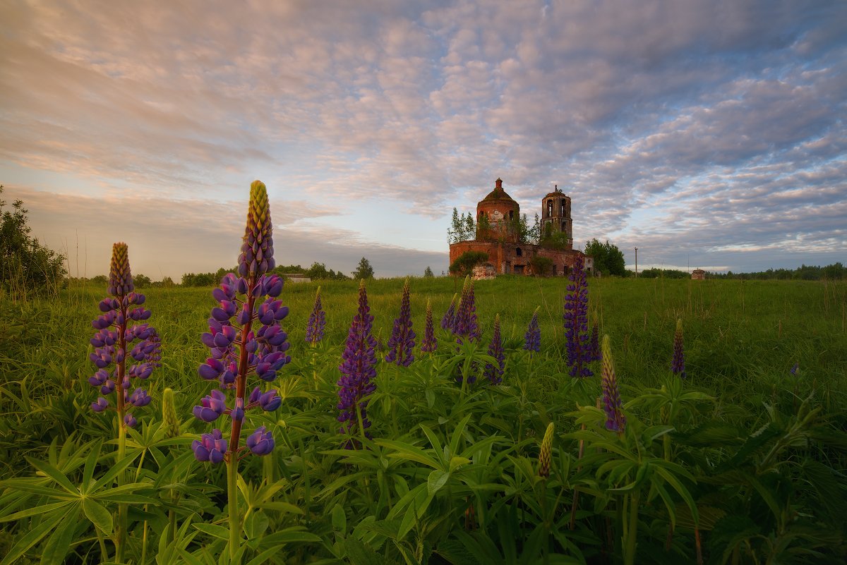 , Романский Владимир (NikonZoom)