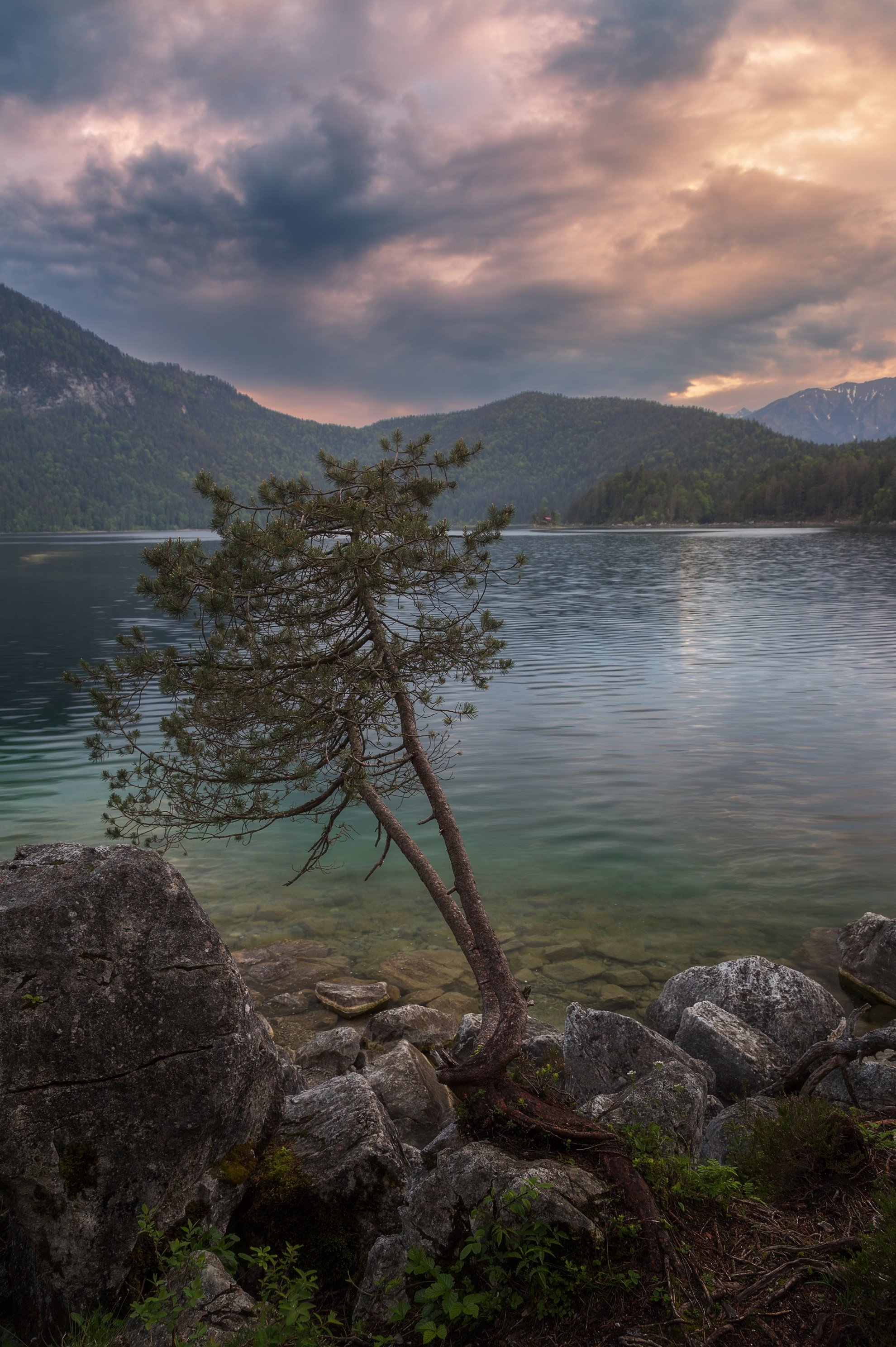 Озеро, дерево, Германия , Павел Попов