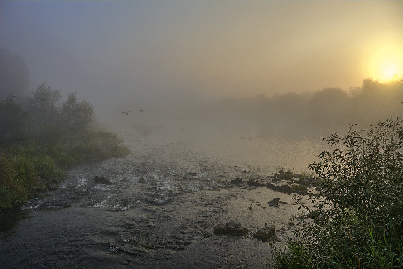 река, рассвет, туман, солнце, Дмитрий Колисниченко