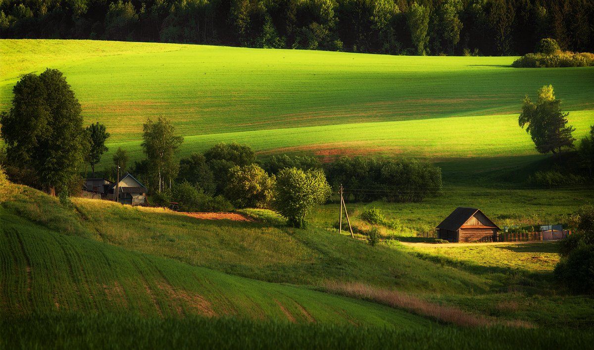 вечер, деревня, село, свет, весна, зелёный, поле, Алексей Черепанов