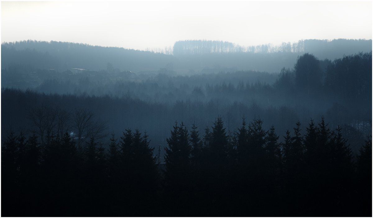 туман, лес, перспектива, Алексей Черепанов