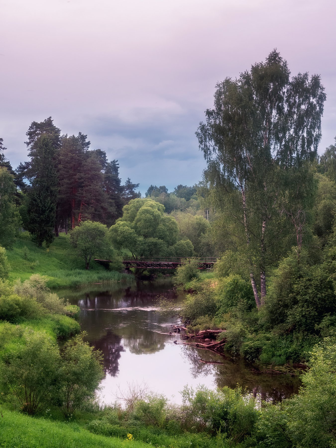 Рыбинск река черемуха