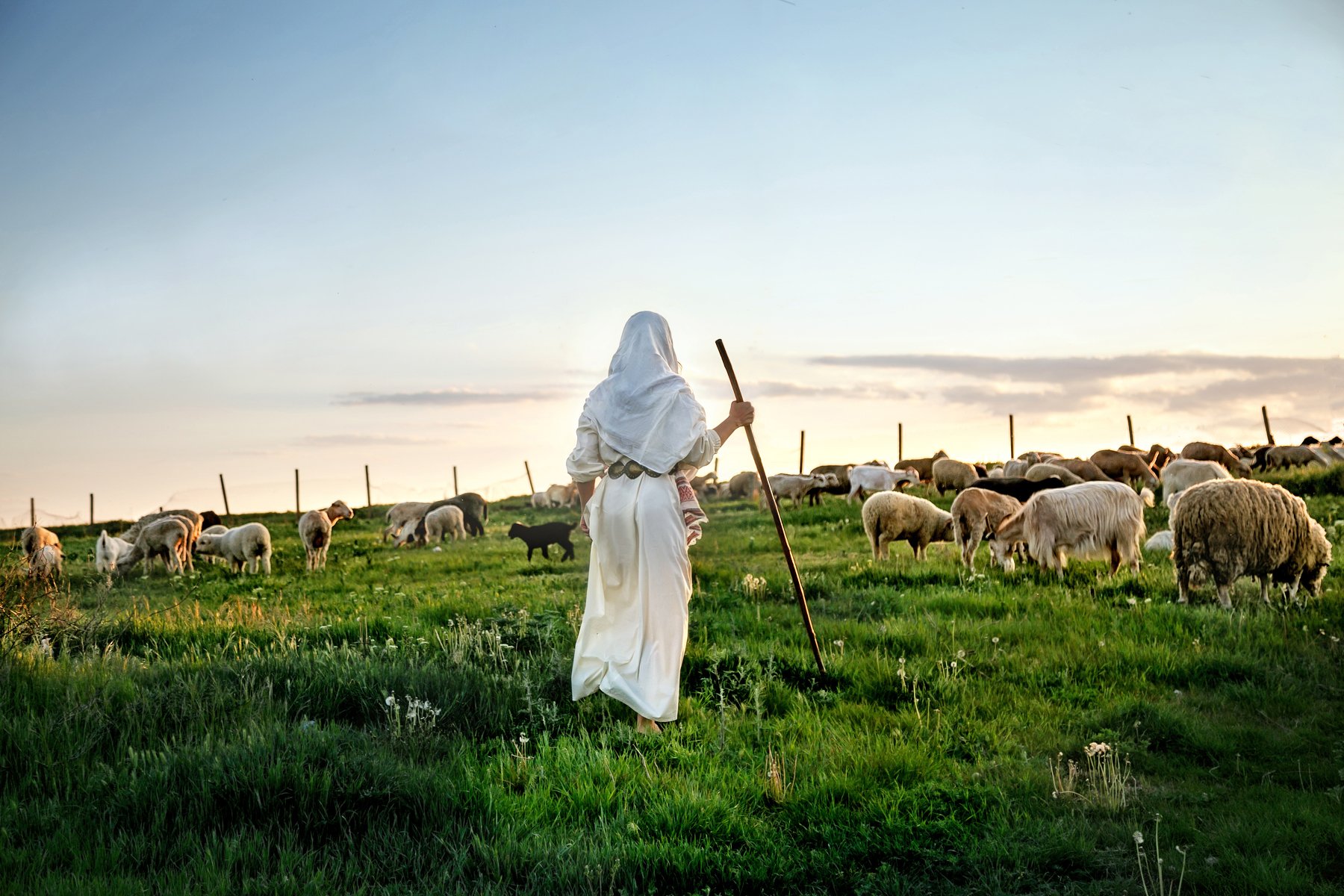 пастушка, овцы, весна , Мария Братан
