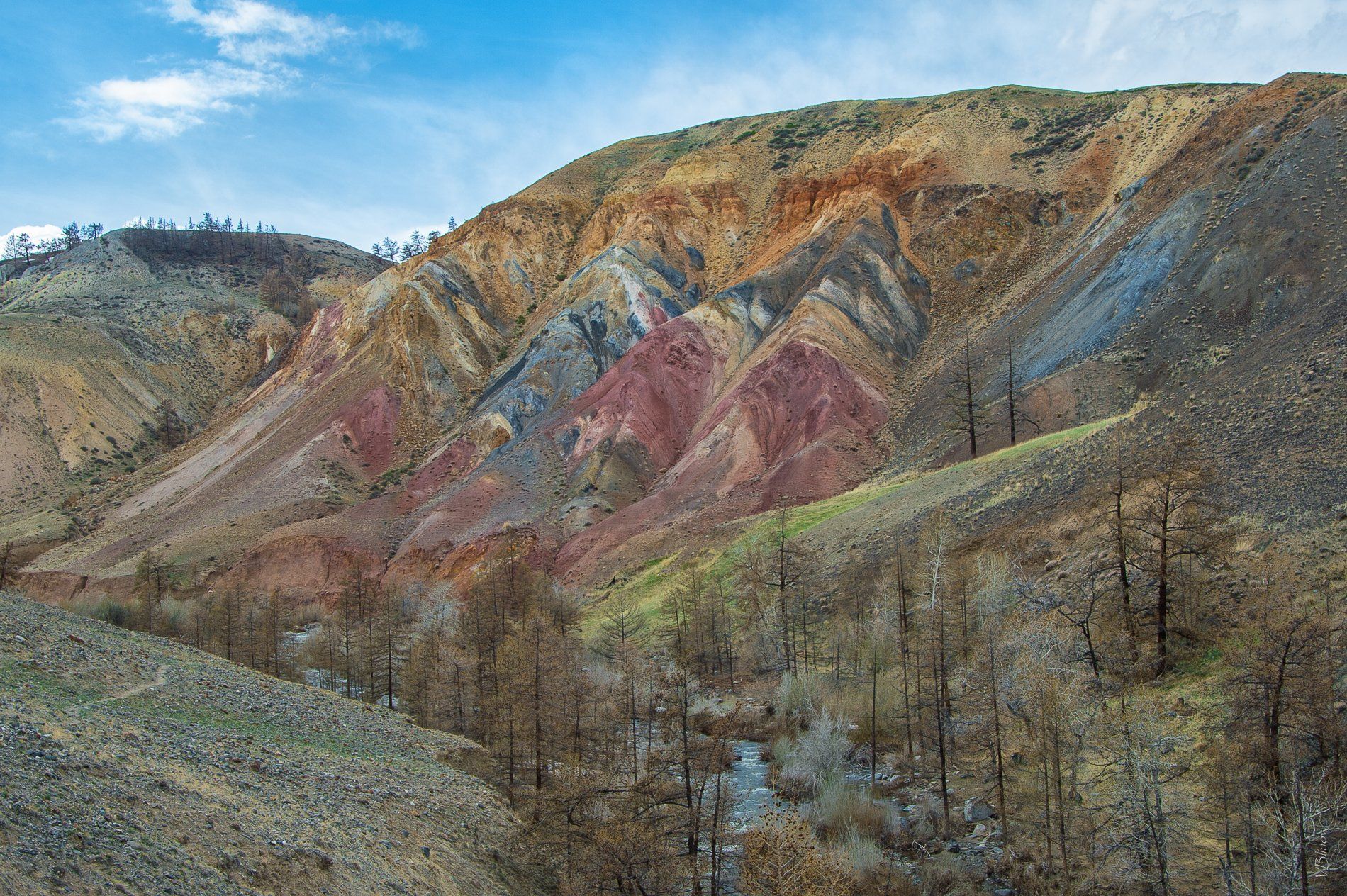 , Блинов Василий