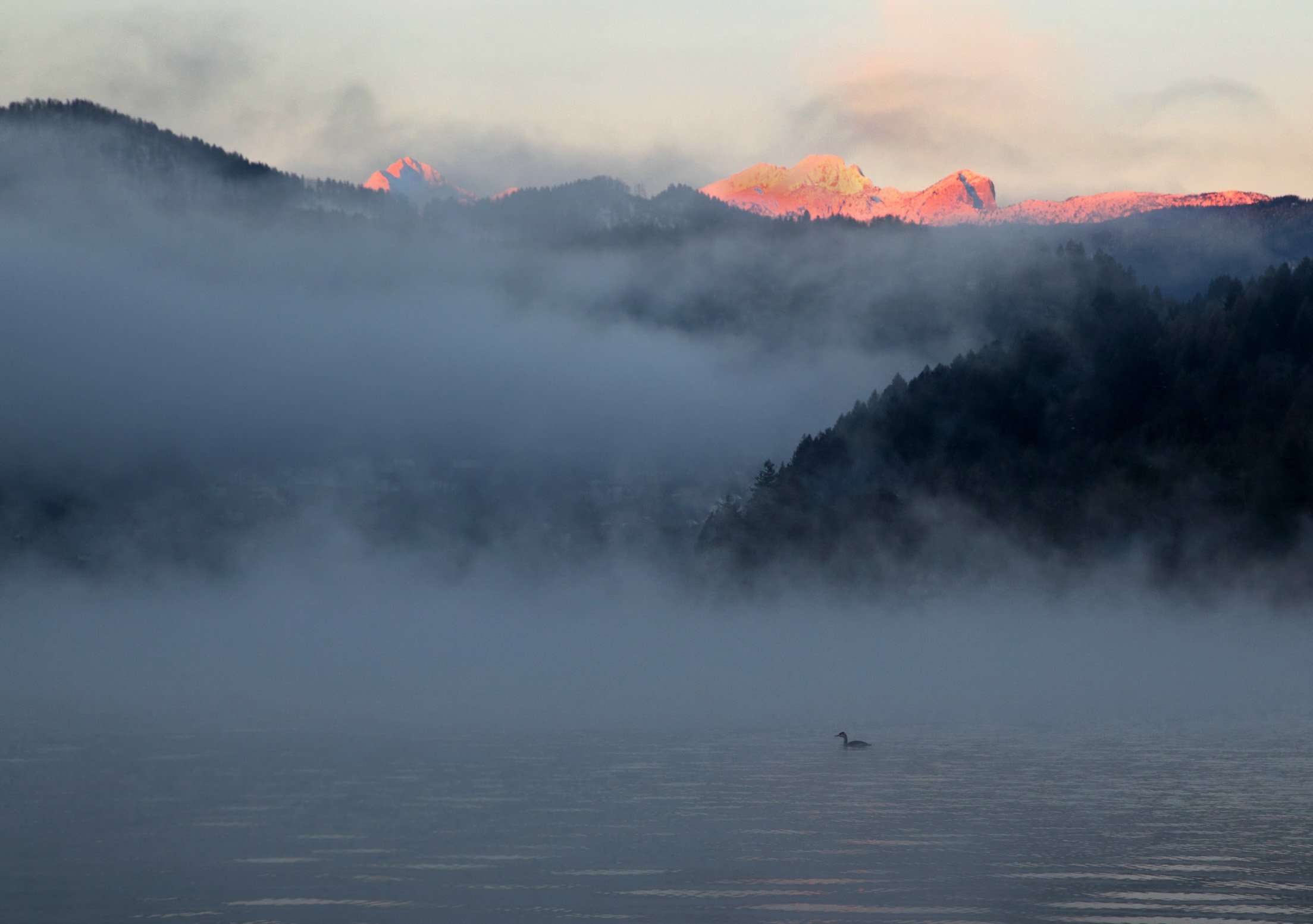 туман, утро, рассвет, путешествие, озеро, Словения, lake, for, travel, Михаил Конарев