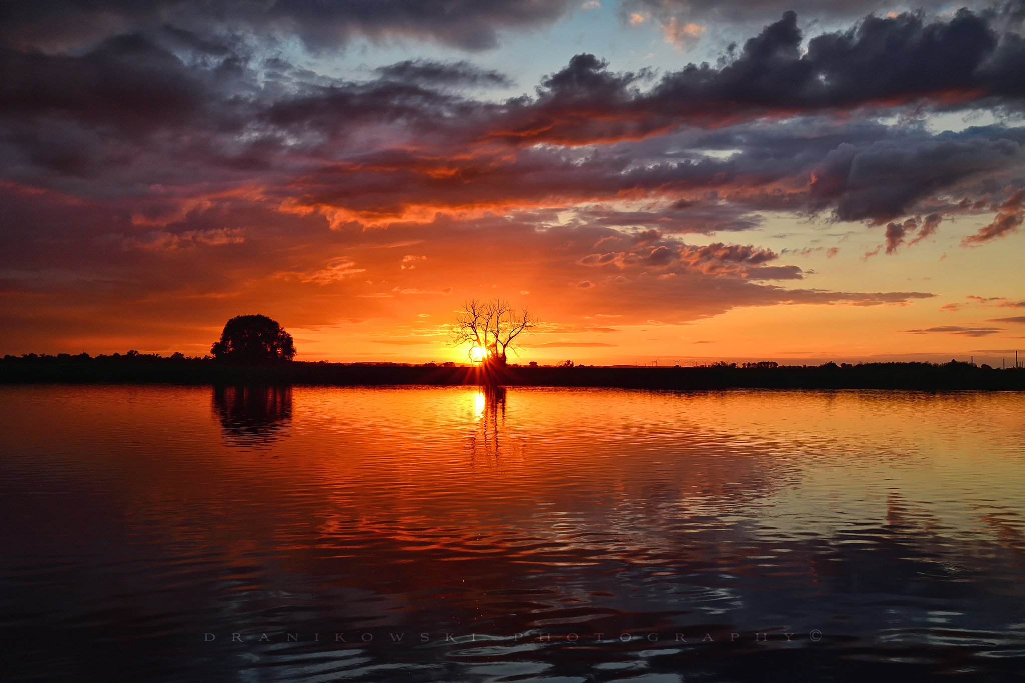 light odra river water sun sunset sunrise poland tree clouds mirror sunlight, Radoslaw Dranikowski