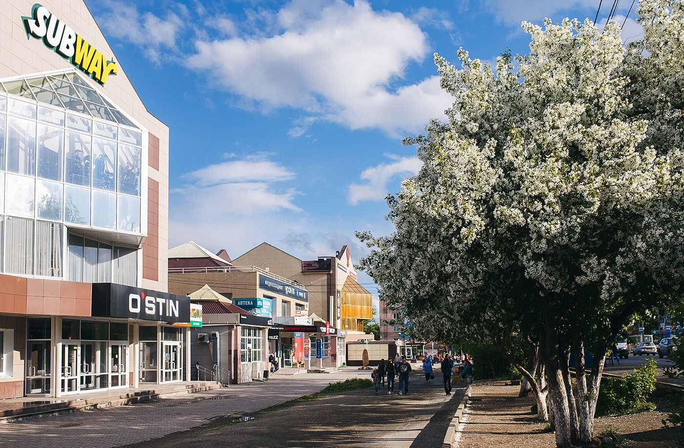 улица, лето, яблони, златоуст, Евгений Толкачёв