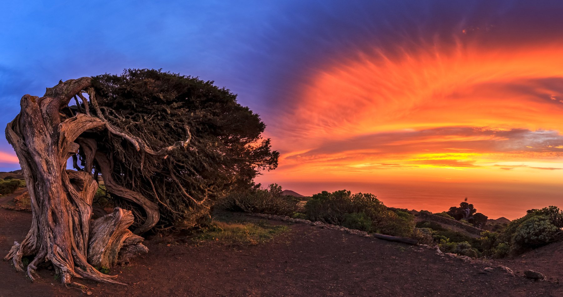 el sabinar, sabina de machin, el hierro, sunset, Vitalis Vasylius