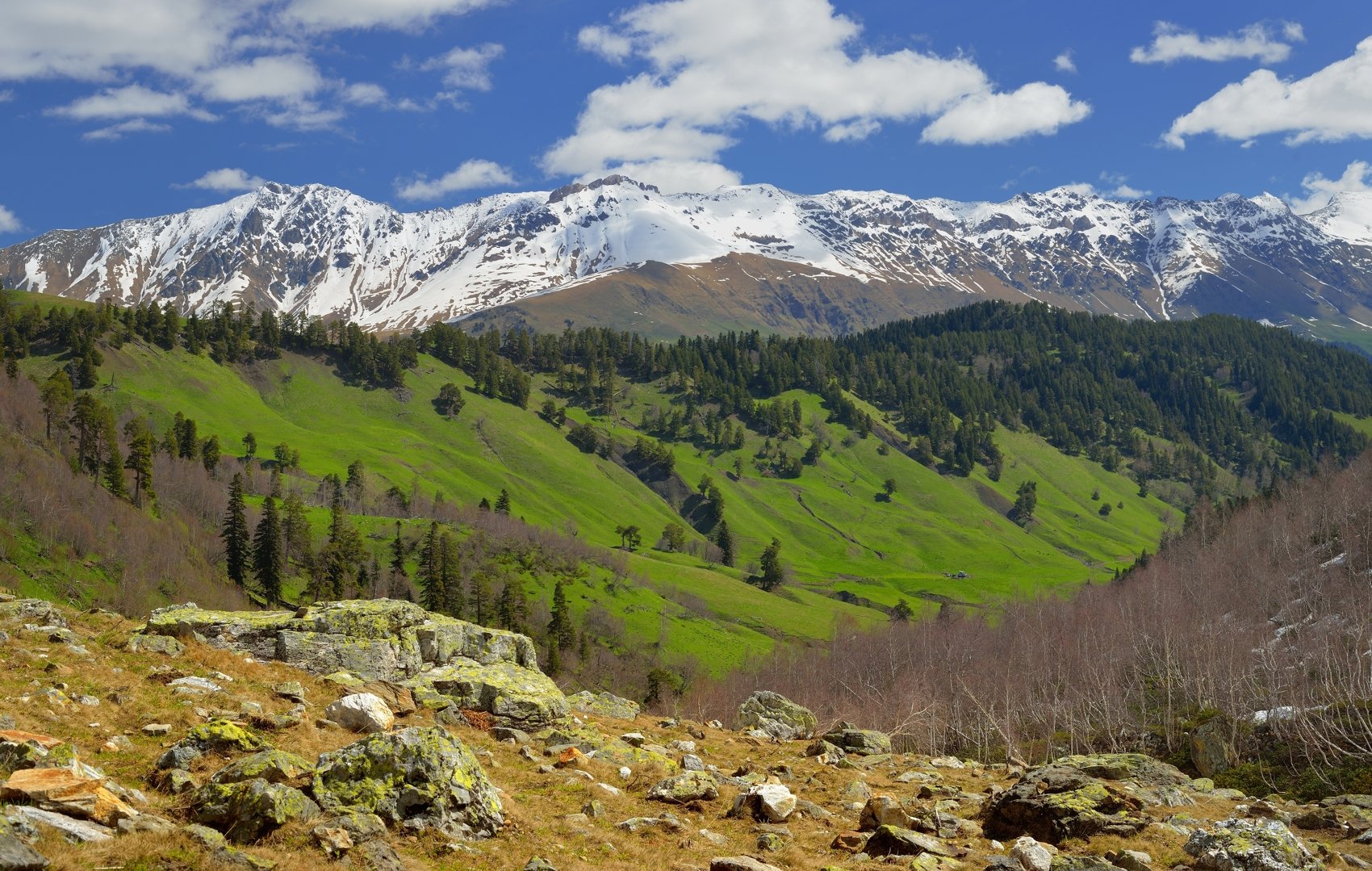 горы весна кавказ архыз, Александр Жарников